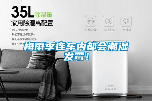 梅雨季連車內都會潮濕發霉!