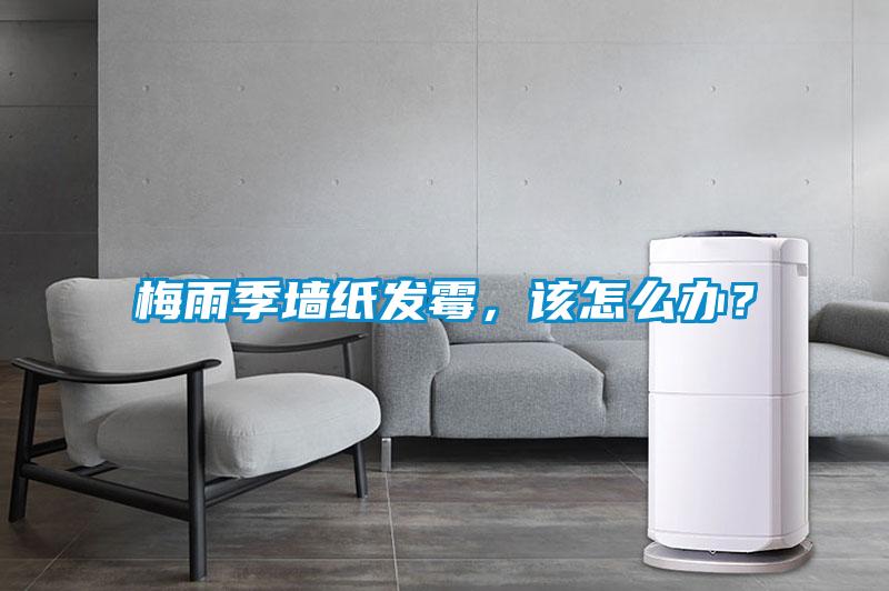 梅雨季墻紙發霉，該怎么辦？