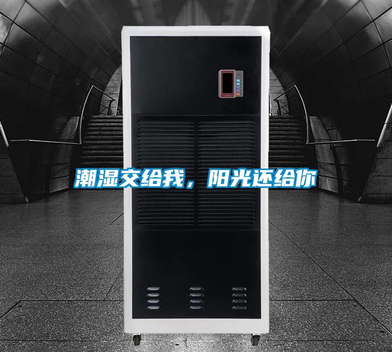 潮濕交給我,陽光還給你