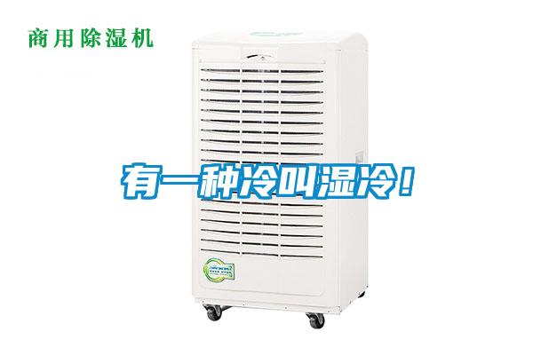 有一種冷叫濕冷！