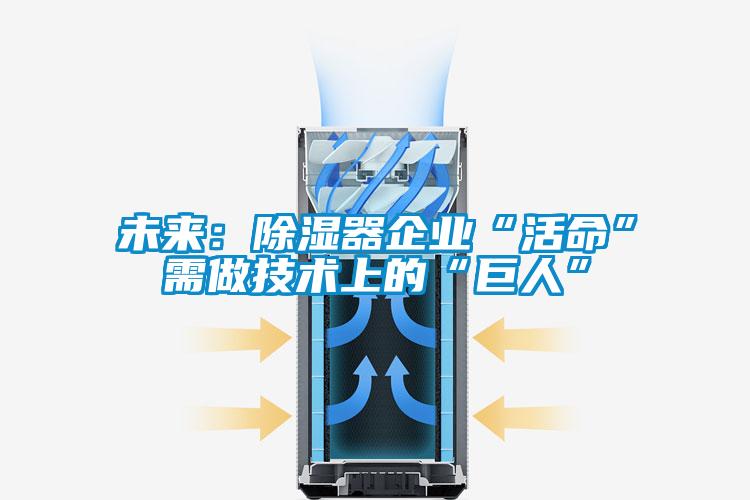 未來(lái):除濕器企業(yè)“活命”需做技術(shù)上的“巨人”