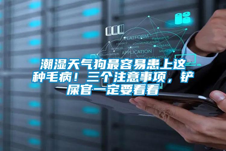 潮濕天氣狗最容易患上這種毛病！三個注意事項，鏟屎官一定要看看