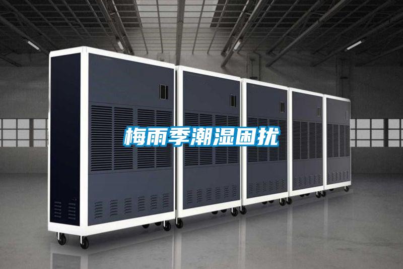 梅雨季潮濕困擾