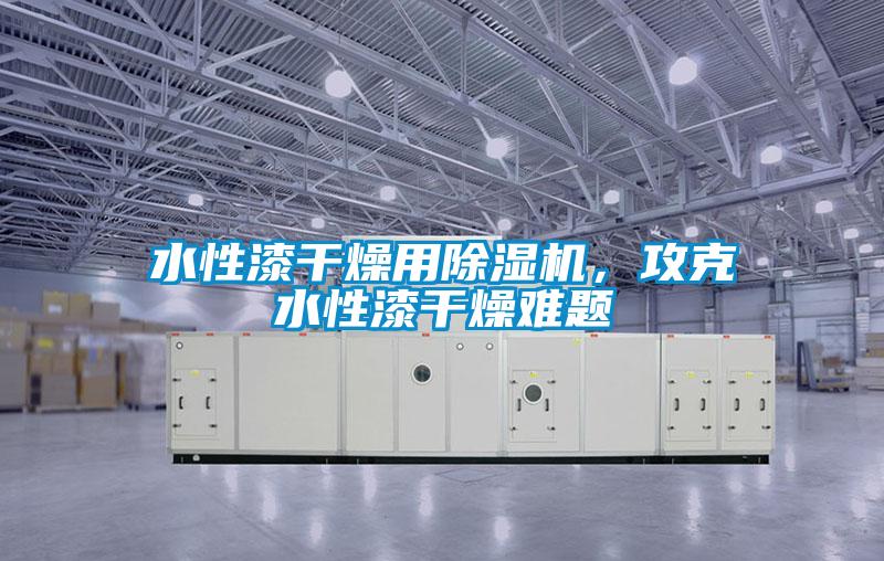 水性漆干燥用除濕機,攻克水性漆干燥難題