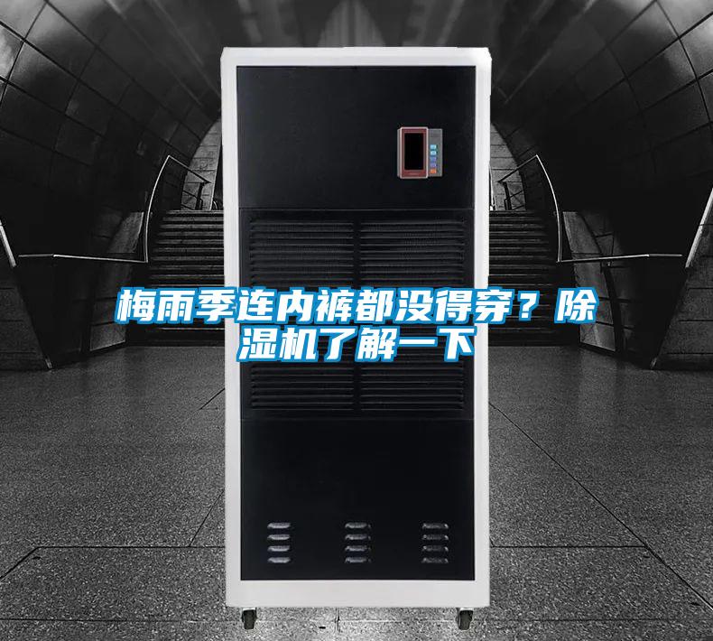 梅雨季連內褲都沒得穿?除濕機了解一下