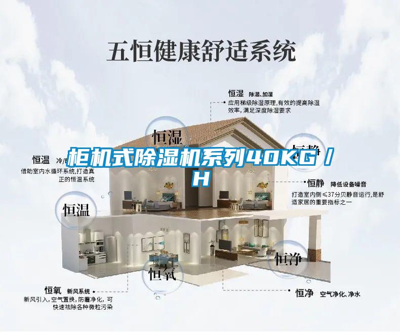 柜機式除濕機系列40KG/H