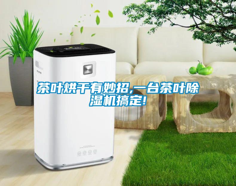 茶葉烘干有妙招,一臺茶葉除濕機搞定!