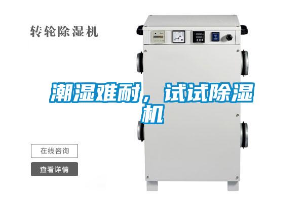 潮濕難耐，試試除濕機