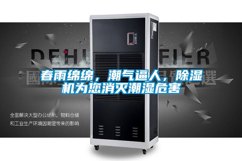 春雨綿綿,潮氣逼人,除濕機為您消滅潮濕危害