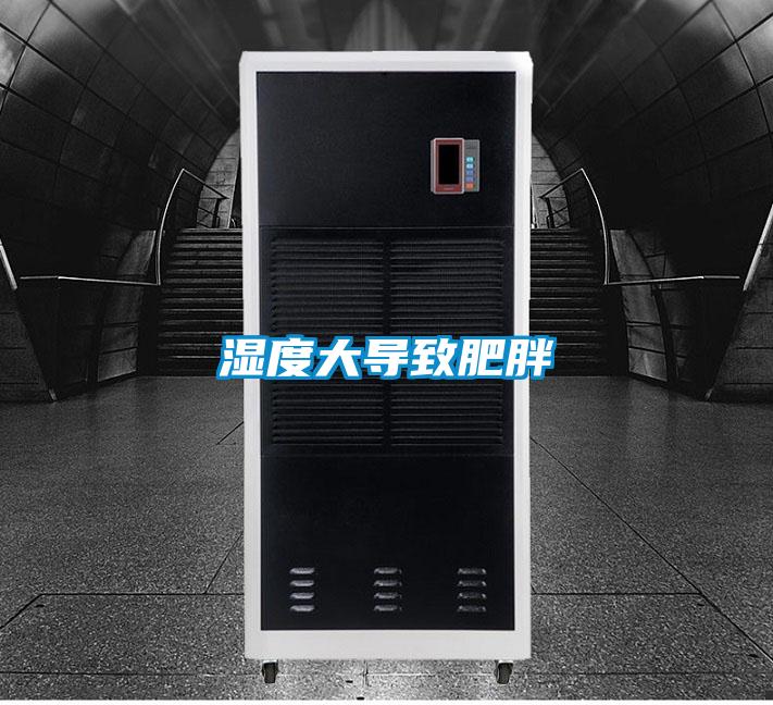 濕度大導致肥胖