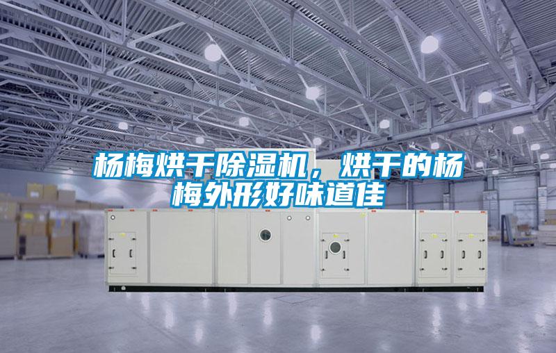 楊梅烘干除濕機，烘干的楊梅外形好味道佳