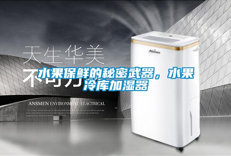 水果保鮮的秘密武器，水果冷庫加濕器