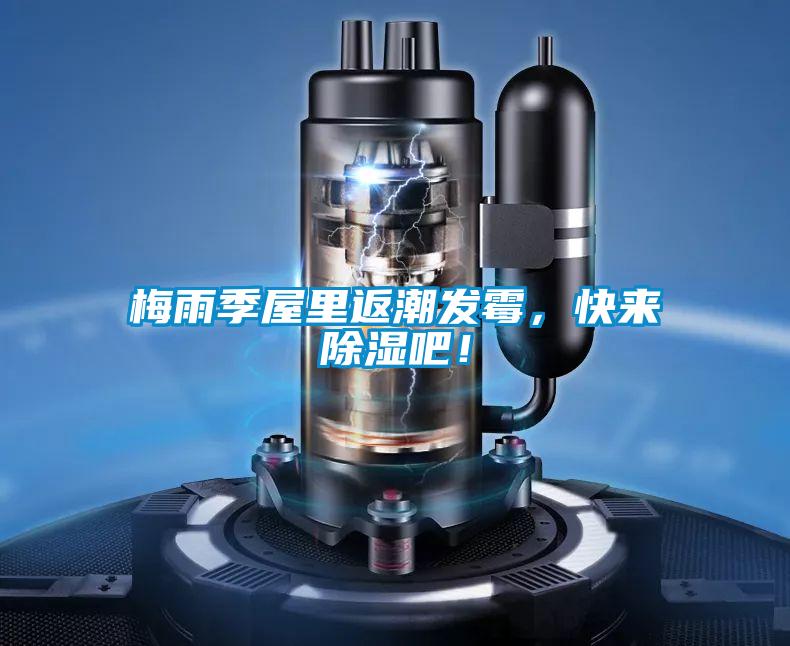 梅雨季屋里返潮發霉,快來除濕吧!