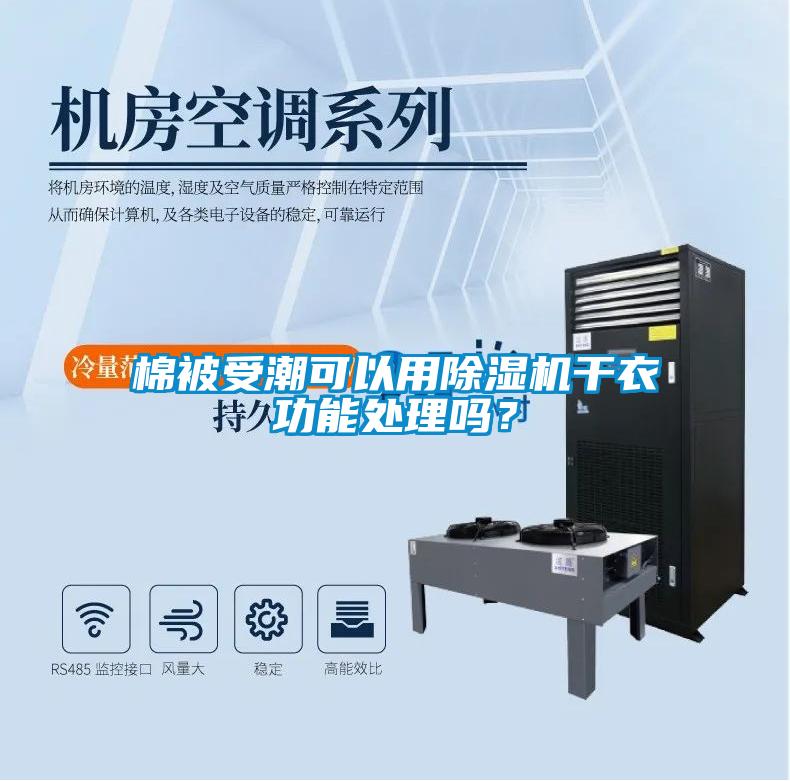 棉被受潮可以用除濕機干衣功能處理嗎?