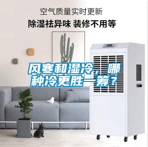 風寒和濕冷,哪種冷更勝一籌?