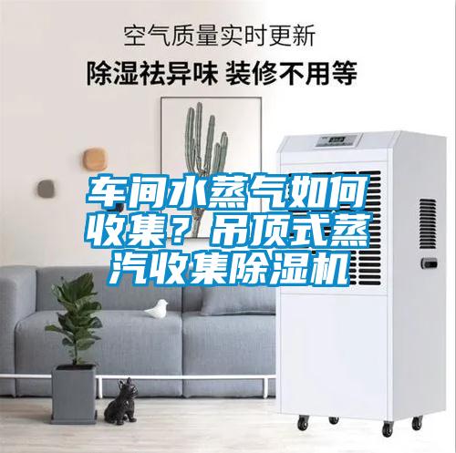 車間水蒸氣如何收集？吊頂式蒸汽收集除濕機