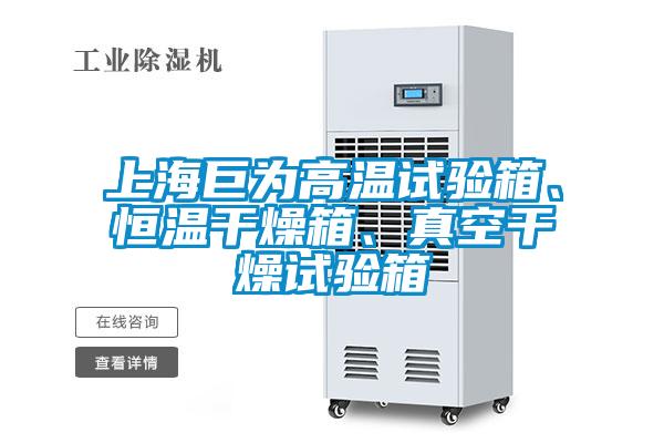 上海巨為高溫試驗(yàn)箱、恒溫干燥箱、真空干燥試驗(yàn)箱