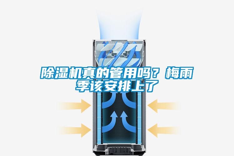 除濕機(jī)真的管用嗎?梅雨季該安排上了