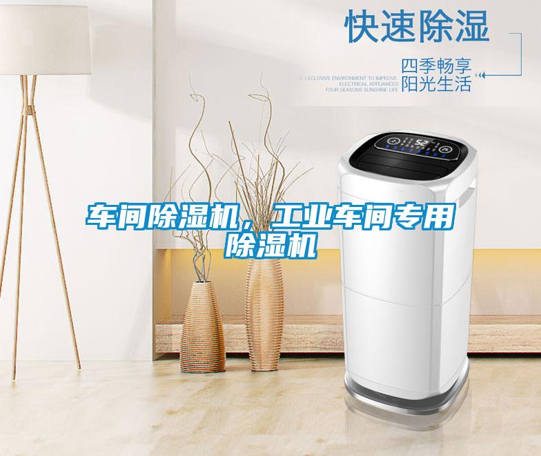 車間除濕機,工業(yè)車間專用除濕機