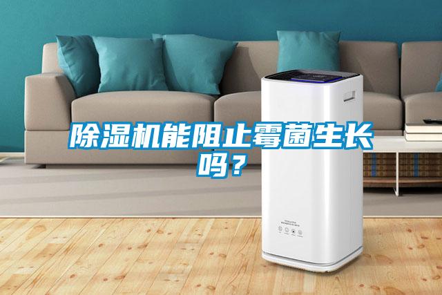 除濕機能阻止霉菌生長嗎?