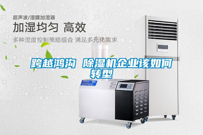 跨越鴻溝 除濕機企業該如何轉型