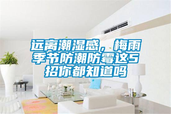 遠(yuǎn)離潮濕感，梅雨季節(jié)防潮防霉這5招你都知道嗎