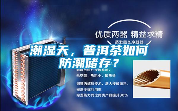 潮濕天,普洱茶如何防潮儲存?