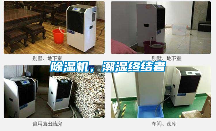 除濕機(jī)，潮濕終結(jié)者