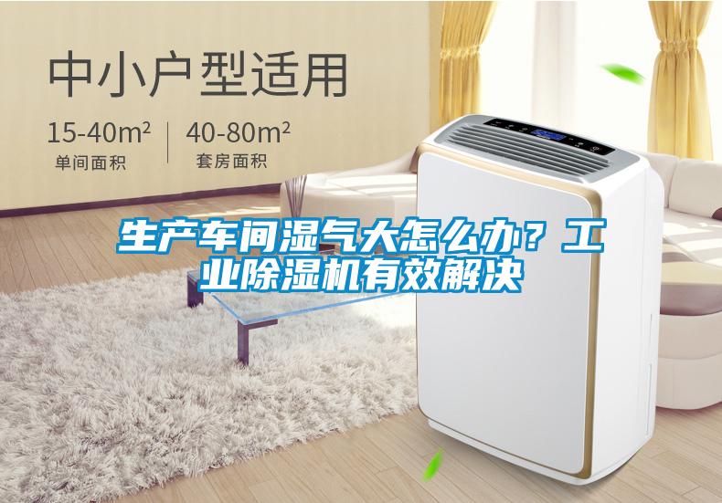 生產車間濕氣大怎么辦?工業除濕機有效解決