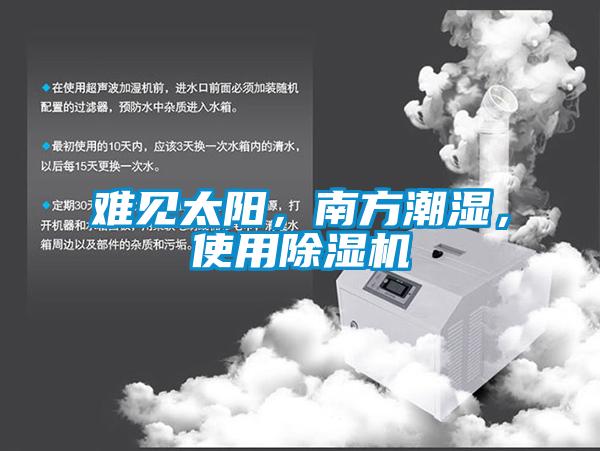 難見太陽,南方潮濕,使用除濕機