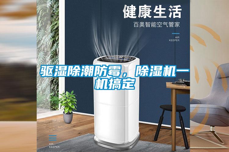 驅(qū)濕除潮防霉,除濕機(jī)一機(jī)搞定