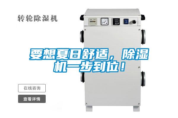 要想夏日舒適，除濕機一步到位！