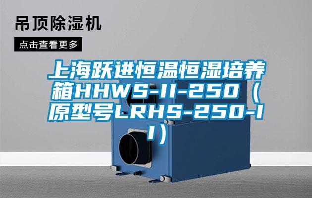 上海躍進恒溫恒濕培養箱HHWS-II-250(原型號LRHS-250-II)