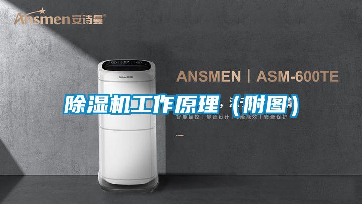 除濕機工作原理（附圖）