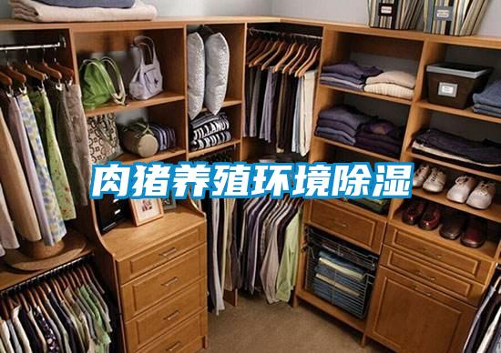 肉豬養殖環境除濕