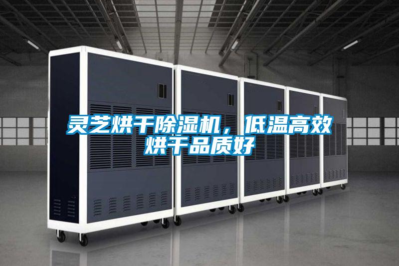 靈芝烘干除濕機,低溫高效烘干品質好