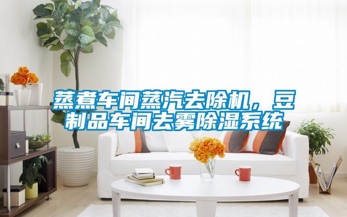 蒸煮車間蒸汽去除機，豆制品車間去霧除濕系統