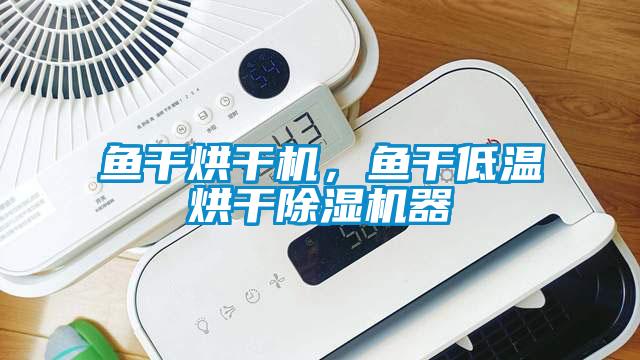魚干烘干機,魚干低溫烘干除濕機器