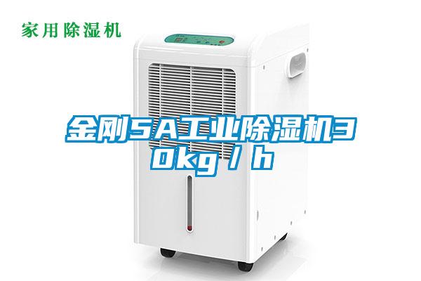 金剛5A工業除濕機30kg/h