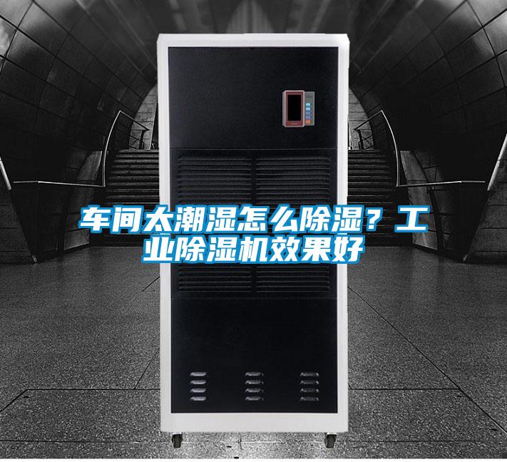 車間太潮濕怎么除濕?工業除濕機效果好