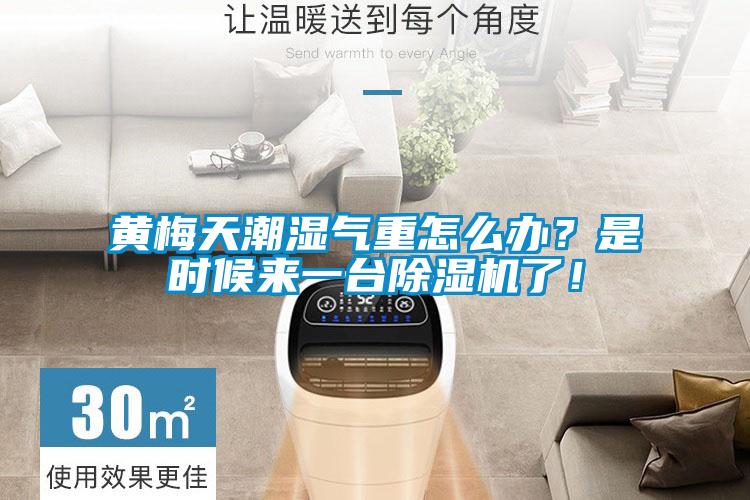黃梅天潮濕氣重怎么辦？是時(shí)候來一臺(tái)除濕機(jī)了！