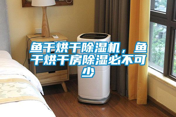 魚干烘干除濕機(jī)，魚干烘干房除濕必不可少