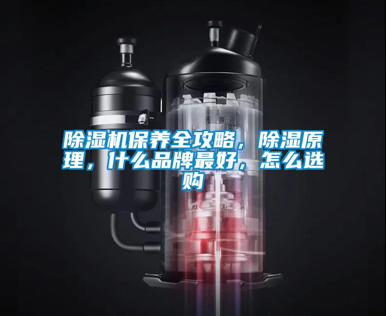 除濕機(jī)保養(yǎng)全攻略，除濕原理，什么品牌最好，怎么選購