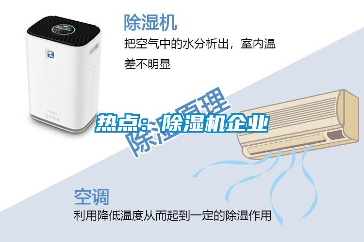 熱點:除濕機企業