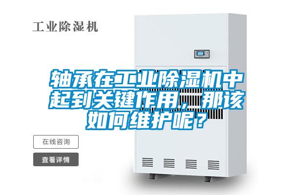 軸承在工業除濕機中起到關鍵作用,那該如何維護呢?