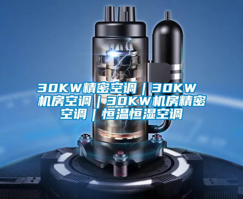 30KW精密空調(diào)|30KW 機房空調(diào)|30KW機房精密空調(diào)|恒溫恒濕空調(diào)