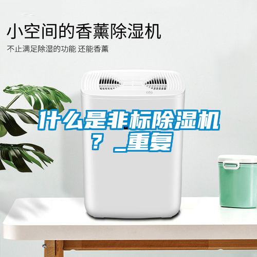 什么是非標除濕機？_重復