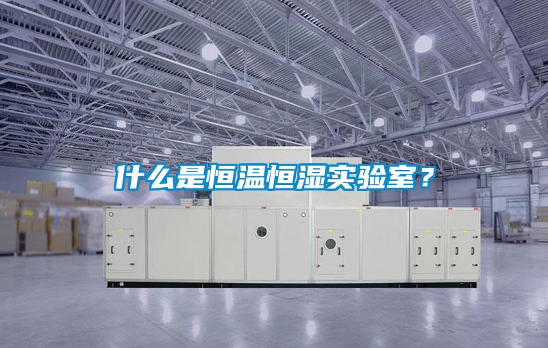 什么是恒溫恒濕實驗室？