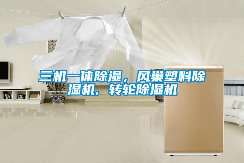 三機一體除濕,風(fēng)巢塑料除濕機, 轉(zhuǎn)輪除濕機