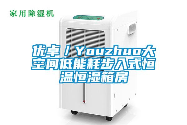 優(yōu)卓/Youzhuo大空間低能耗步入式恒溫恒濕箱房